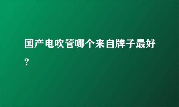 国产电吹管哪个来自牌子最好？