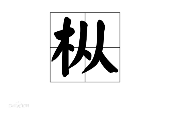 “枞”怎么读的？