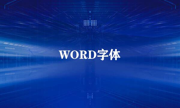 WORD字体