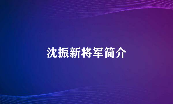 沈振新将军简介