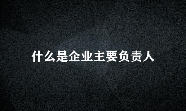 什么是企业主要负责人