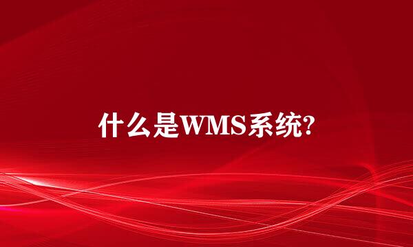 什么是WMS系统?