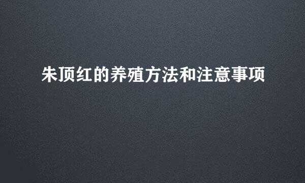 朱顶红的养殖方法和注意事项