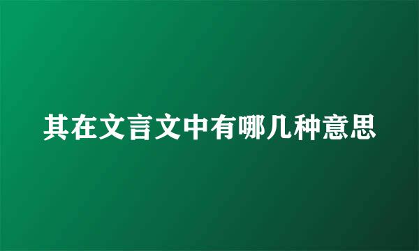 其在文言文中有哪几种意思