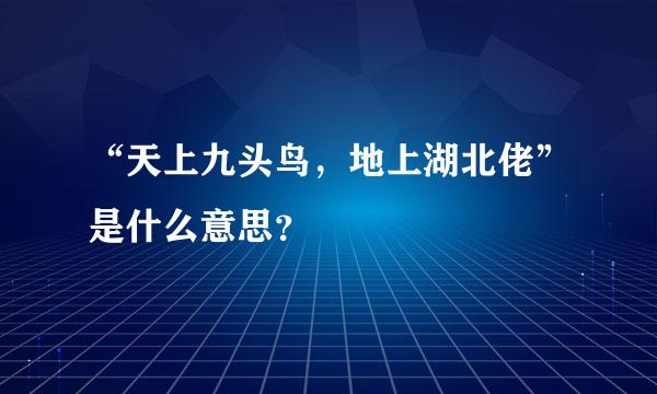 “天上九头鸟，地上湖北佬”是什么意思？