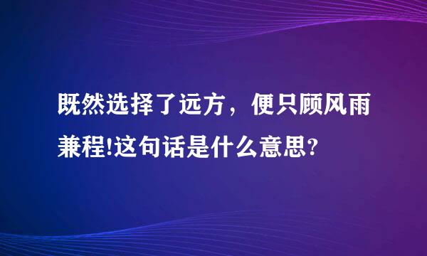 既然选择了远方，便只顾风雨兼程!这句话是什么意思?