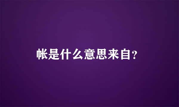 帐是什么意思来自？