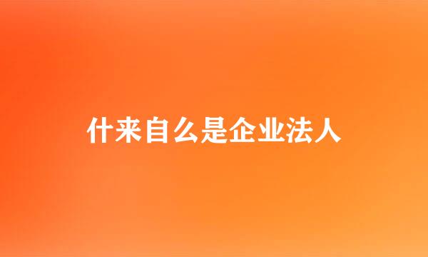 什来自么是企业法人