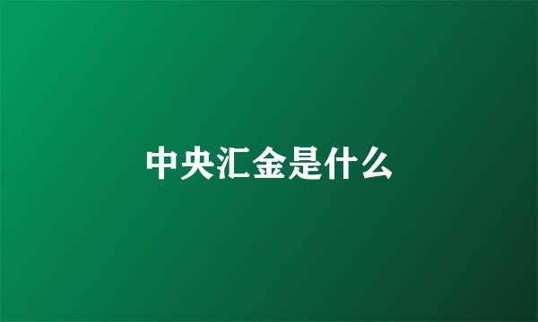 中央汇金是什么