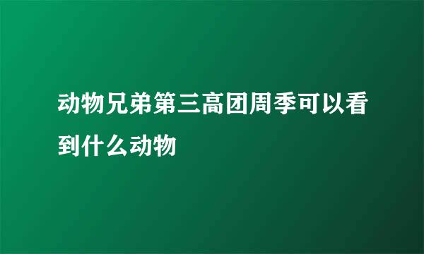 动物兄弟第三高团周季可以看到什么动物