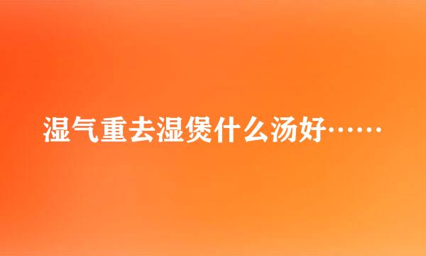 湿气重去湿煲什么汤好……