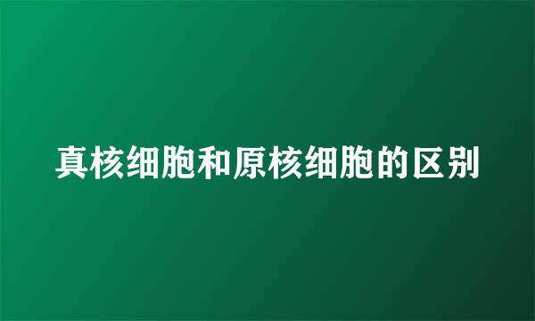 真核细胞和原核细胞的区别