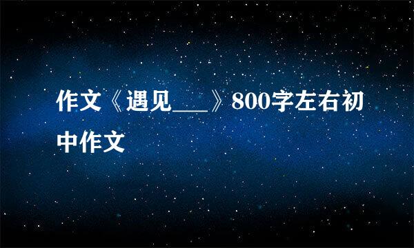 作文《遇见___》800字左右初中作文