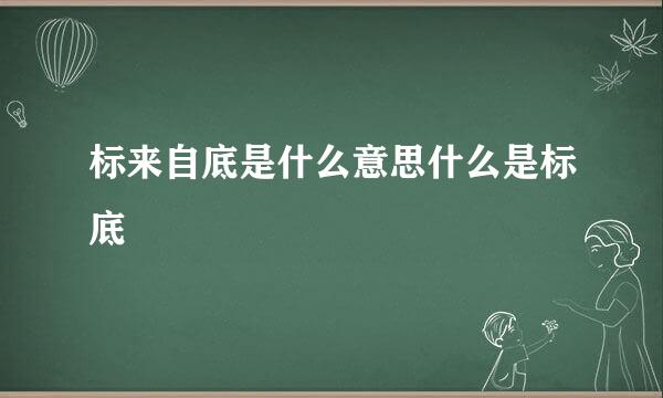 标来自底是什么意思什么是标底