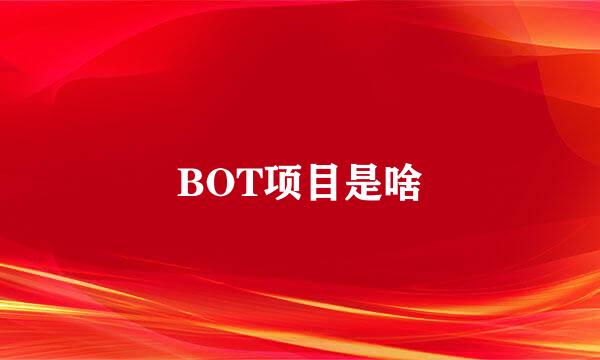 BOT项目是啥