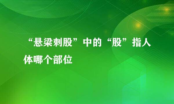 “悬梁刺股”中的“股”指人体哪个部位