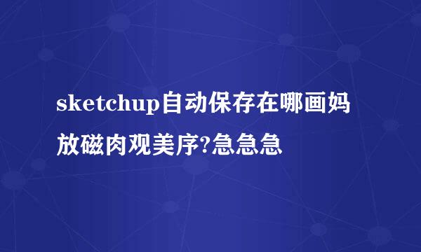 sketchup自动保存在哪画妈放磁肉观美序?急急急