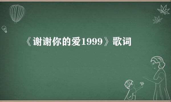 《谢谢你的爱1999》歌词