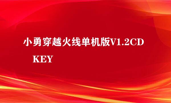 小勇穿越火线单机版V1.2CD KEY