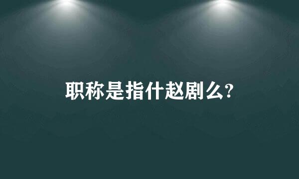 职称是指什赵剧么?