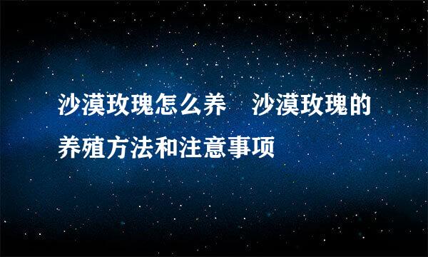 沙漠玫瑰怎么养 沙漠玫瑰的养殖方法和注意事项