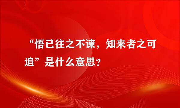 “悟已往之不谏，知来者之可追”是什么意思？