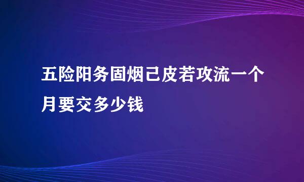 五险阳务固烟己皮若攻流一个月要交多少钱