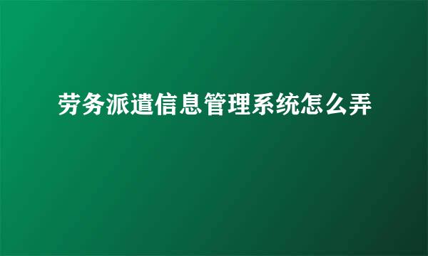 劳务派遣信息管理系统怎么弄