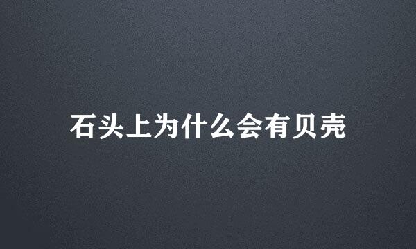 石头上为什么会有贝壳