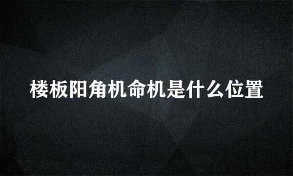 楼板阳角机命机是什么位置