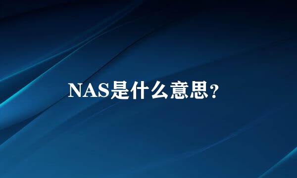 NAS是什么意思？