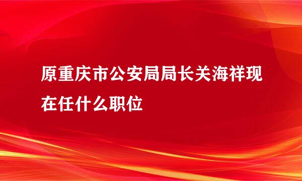 原重庆市公安局局长关海祥现在任什么职位