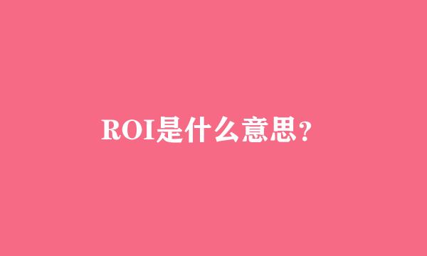 ROI是什么意思？