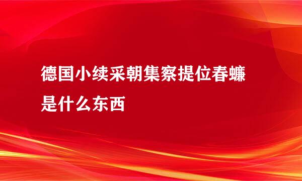 德国小续采朝集察提位春蠊 是什么东西