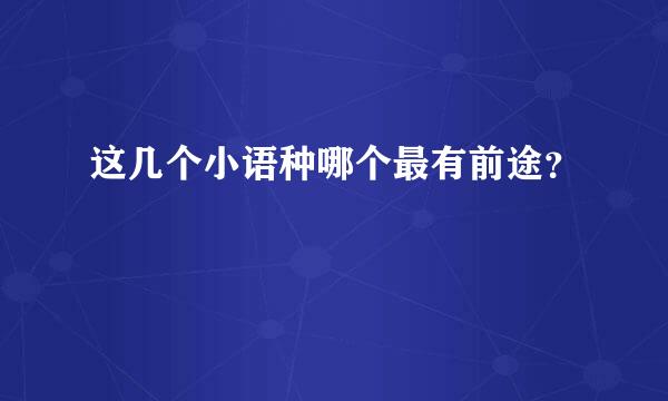 这几个小语种哪个最有前途？