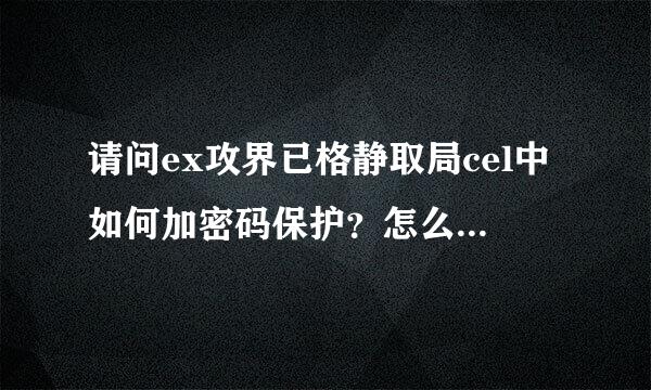 请问ex攻界已格静取局cel中如何加密码保护？怎么操作？谢谢