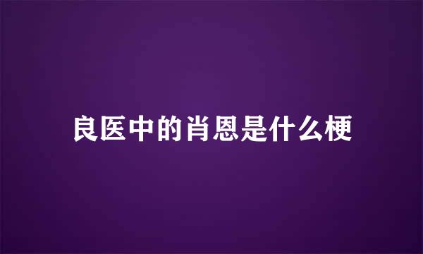 良医中的肖恩是什么梗