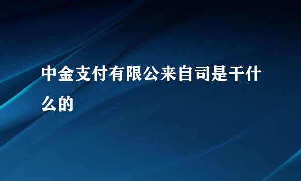 中金支付有限公来自司是干什么的