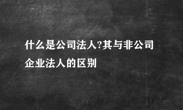 什么是公司法人?其与非公司企业法人的区别