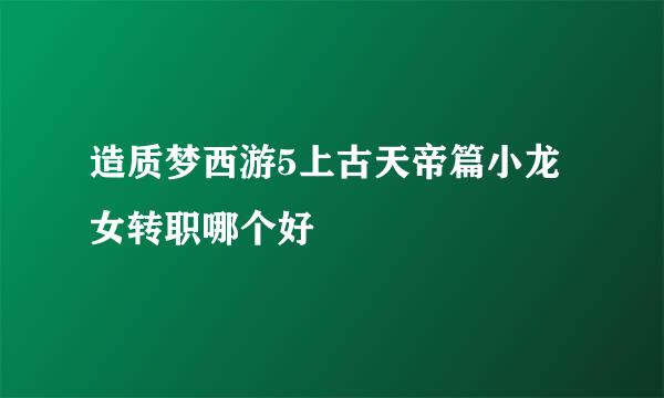 造质梦西游5上古天帝篇小龙女转职哪个好