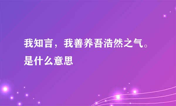 我知言，我善养吾浩然之气。是什么意思