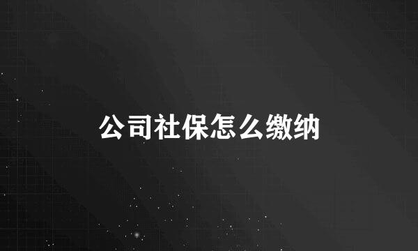 公司社保怎么缴纳