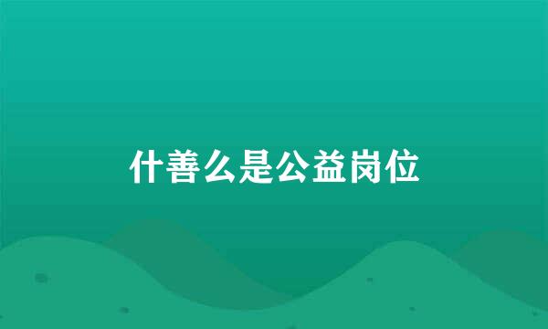 什善么是公益岗位