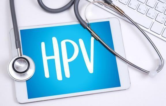 女性 hpv56阳性是什么意思