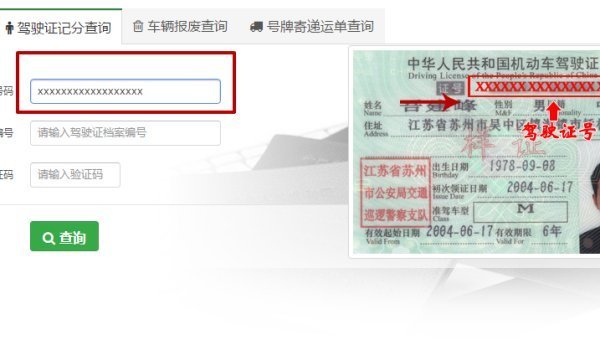 驾驶证吊销查询网站