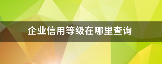 企业信用等级在哪里查询