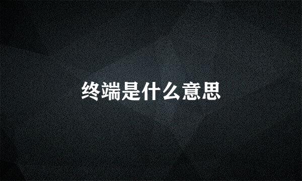 终端是什么意思