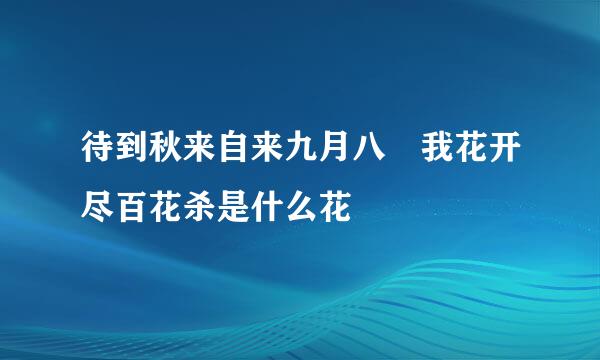 待到秋来自来九月八 我花开尽百花杀是什么花