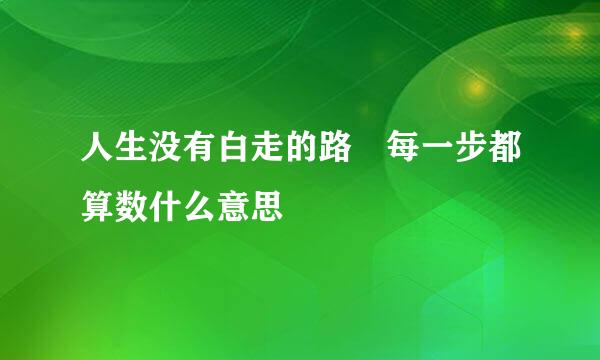 人生没有白走的路 每一步都算数什么意思