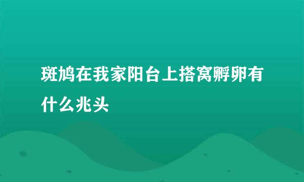 斑鸠在我家阳台上搭窝孵卵有什么兆头